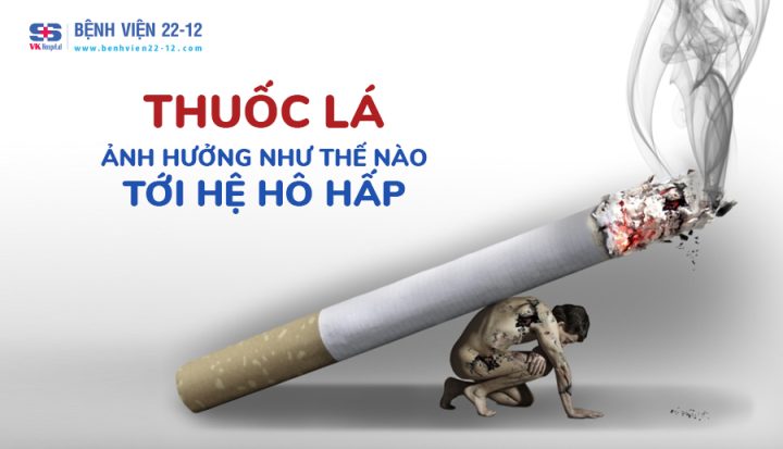 Tác Hại Của Thuốc Lá Đến Hệ Hô Hấp: Bệnh Lý Và Phòng Ngừa Hiệu Quả Tác Hại Của Thuốc Lá Đến Hệ Hô Hấp: Bệnh Lý Và Phòng Ngừa Hiệu Quả
