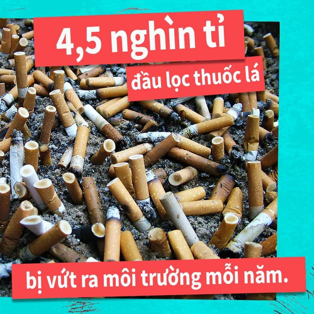Môi trường xung quanh ảnh hưởng tác dụng của thuốc: Yếu tố then chốt