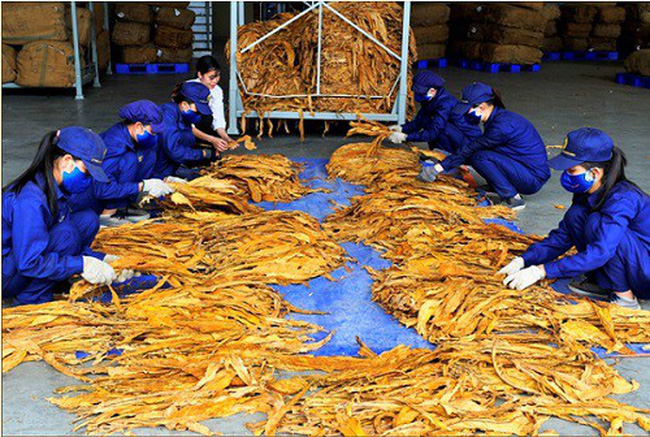 Công Văn Về Nhập Khẩu Nguyên Liệu Sản Xuất Thuốc: Hướng Dẫn Toàn Diện