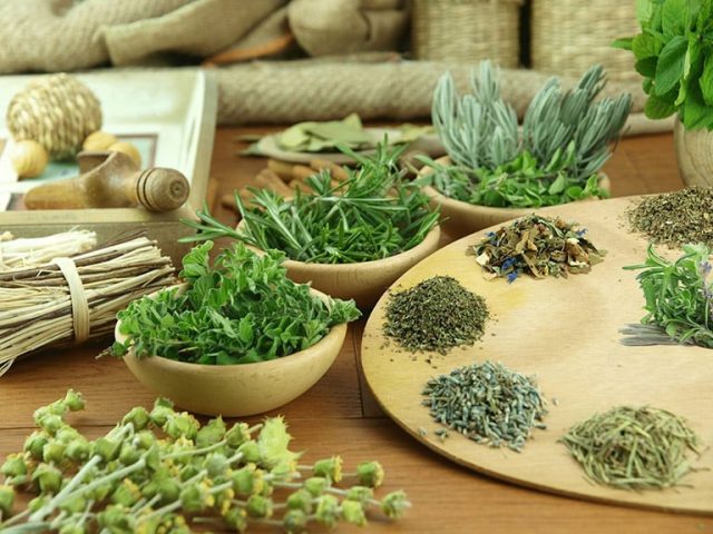 Bài Thuốc Chữa Bệnh Trĩ Của Bà Ở An Khánh: Thực Hư Và Lời Khuyên