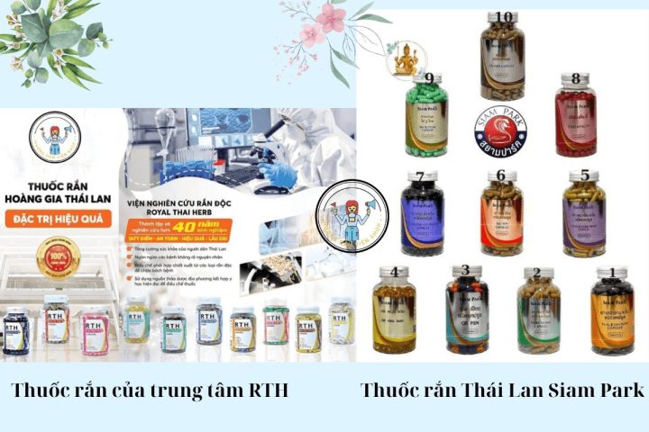 Thuốc Rắn Hoàng Gia Thái Lan: Khám Phá Bài Thuốc Cổ Truyền