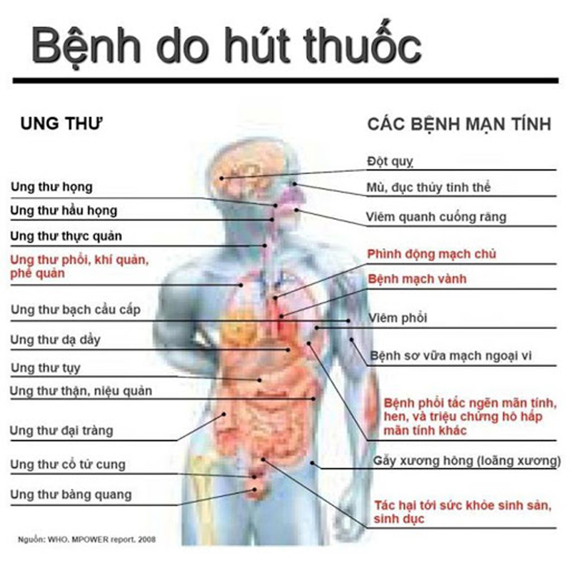 Tác hại của thuốc lá tới sức khỏe sinh sản: Những nguy cơ đáng báo động