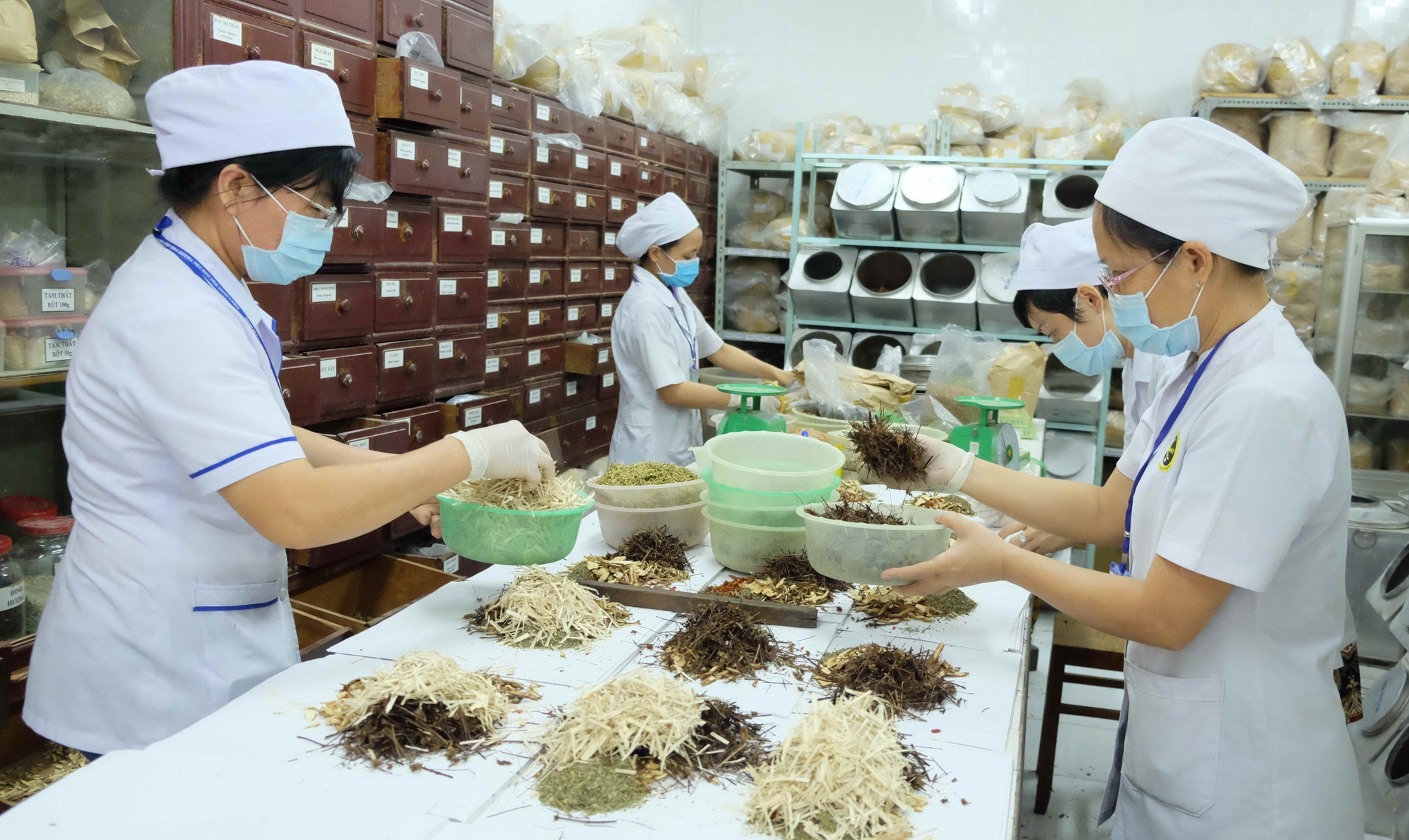 Quy định về Kê đơn thuốc y học cổ truyền: Hướng dẫn chi tiết và Tuân thủ