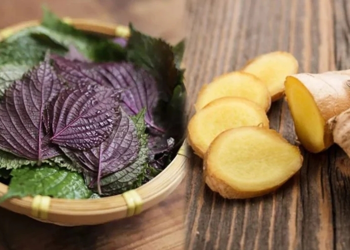 Những Bài Thuốc Chữa Bệnh Hay Từ Lá Tía Tô Hiệu Quả