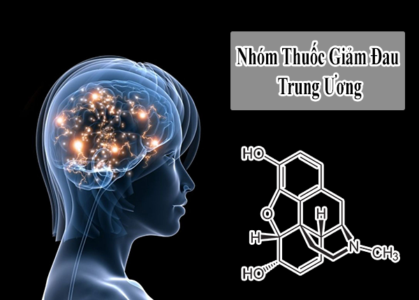 Cơ Chế Tác Dụng Của Thuốc Giảm Đau Trung Ương Cơ Chế Tác Dụng Của Thuốc Giảm Đau Trung Ương