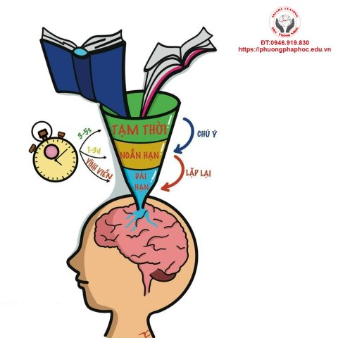Trí Nhớ Ngắn Hạn: Hiểu Rõ, Cách Cải Thiện và Duy Trì Sức Khỏe Não Bộ