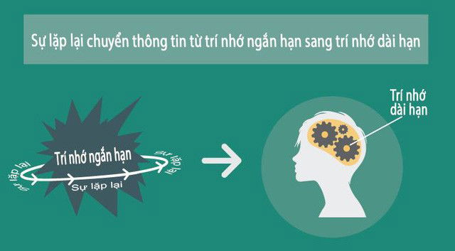 Hình ảnh minh họa về tình trạng suy giảm trí nhớ ngắn hạn, ảnh hưởng đến hoạt động hàng ngày