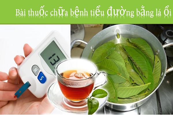 Lá Ổi Trị Tiểu Đường: Sự Thật Khoa Học và Hướng Dẫn Sử Dụng Lá Ổi Trị Tiểu Đường: Sự Thật Khoa Học và Hướng Dẫn Sử Dụng