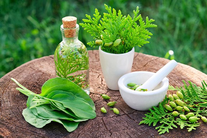 Bài Thuốc Đơn Giản Hiệu Quả Từ Thiên Nhiên: Hướng Dẫn Toàn Diện