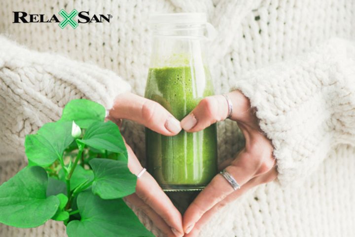 Ly nước rau diếp cá tươi được cho là có khả năng trị giãn tĩnh mạch hiệu quả cao