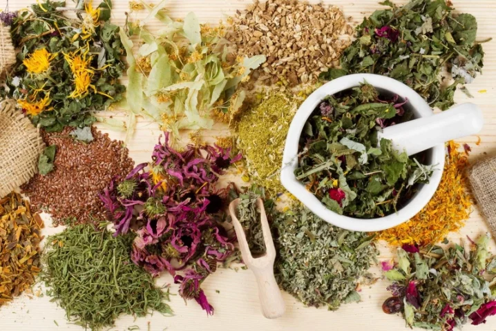 Điều Trị Sỏi Mật Bằng Thuốc Đông Y: Giải Pháp Toàn Diện