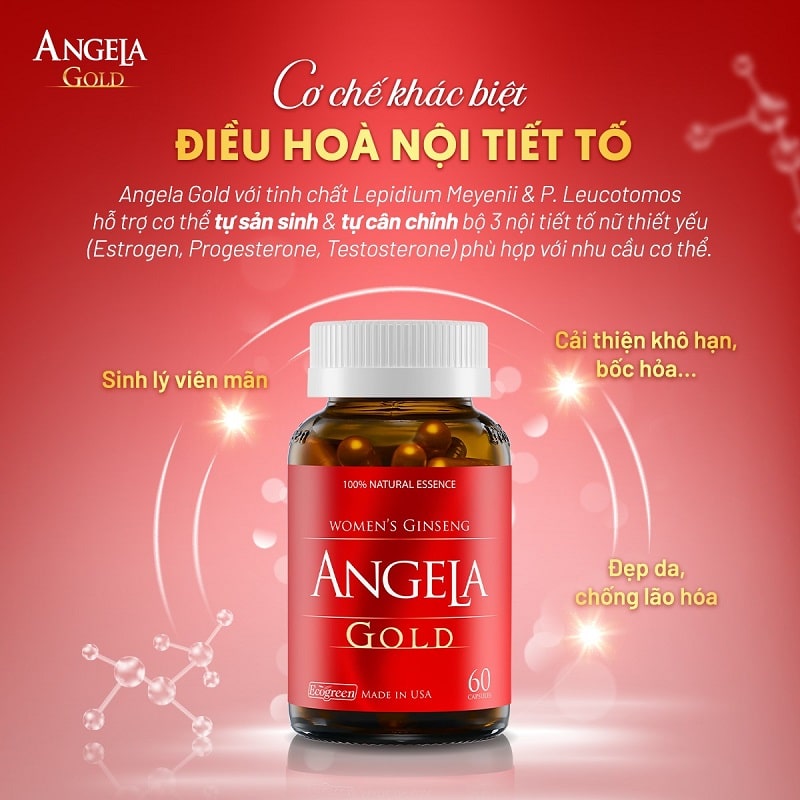 Những Loại Thuốc Bổ Sung Cho Người Sức Khỏe Yếu: Hướng Dẫn Toàn Diện