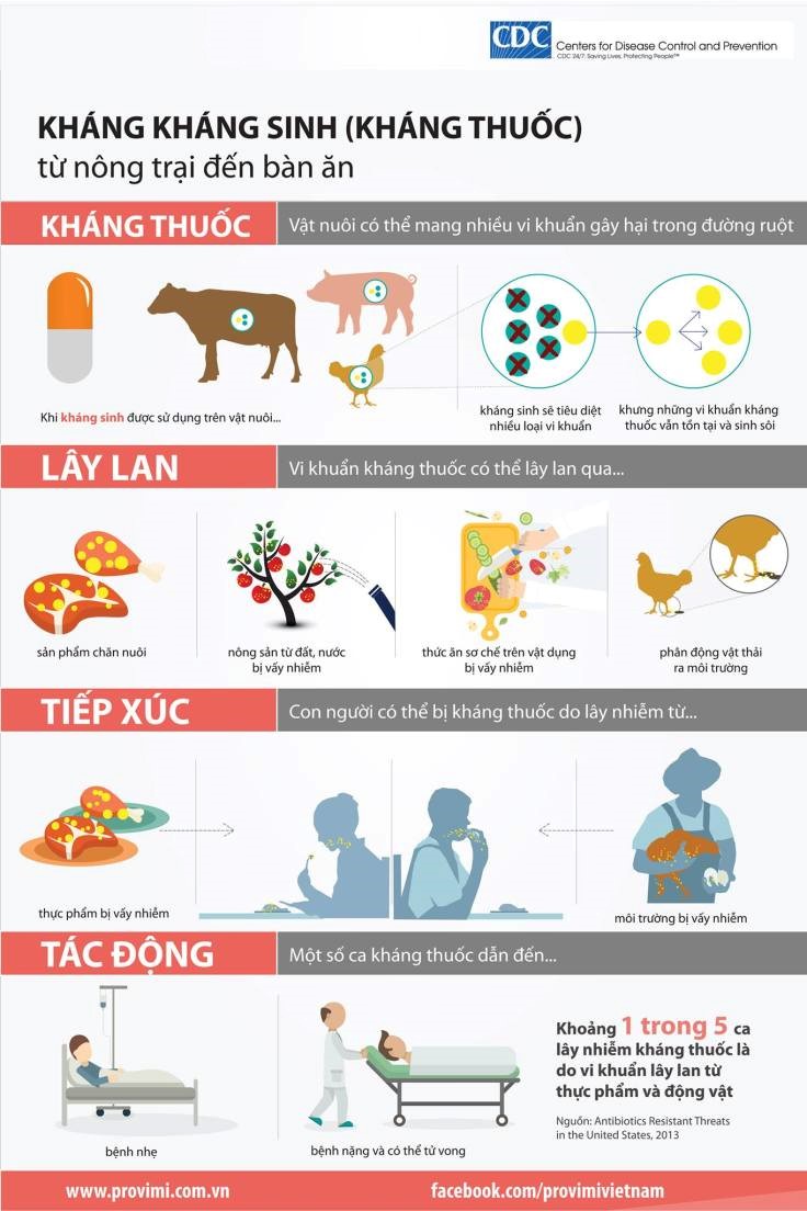 Thuốc Kháng Sinh Tồn Tại Trong Cơ Thể Bao Lâu Và Những Điều Cần Biết