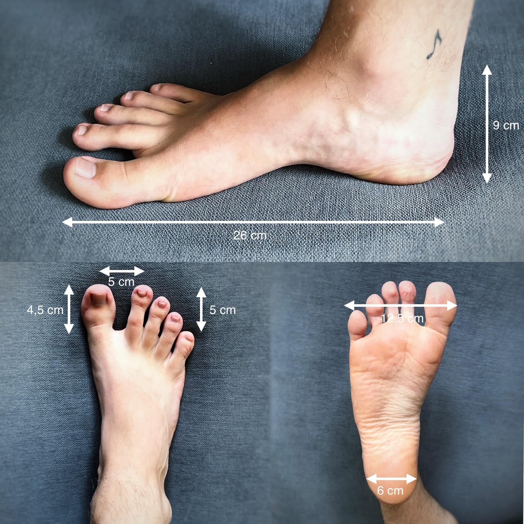 Đánh giá tác dụng bài thuốc cổ truyền in vivo: Phương pháp và Ý nghĩa Toàn diện