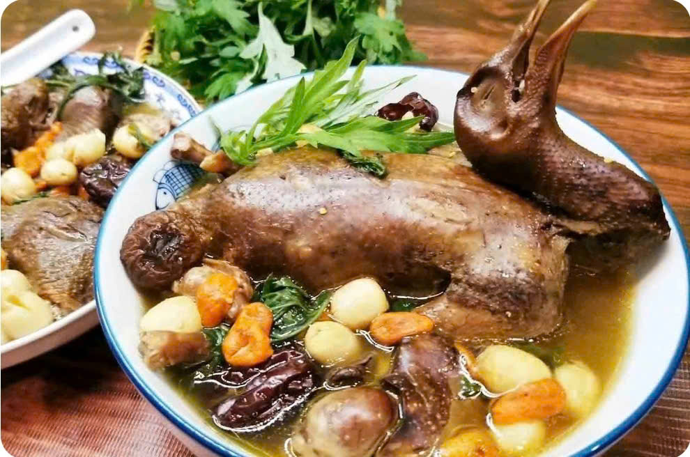 Bà Bầu Có Nên Ăn Bồ Câu Hầm Thuốc Bắc? Lợi Ích & Lưu Ý Quan Trọng