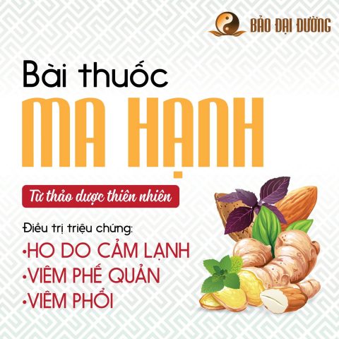 Bài Thuốc Đơn Giản Hiệu Quả Từ Thiên Nhiên: Hướng Dẫn Toàn Diện